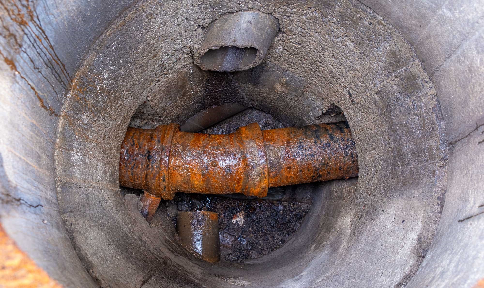 Artikkel 80 r bilde 4